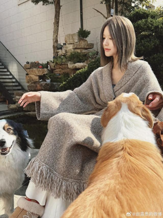 图片转自微博@赵露思的微博