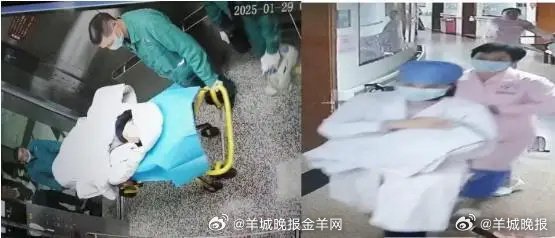 救护车内成功接生脐带缠绕蛇宝宝 生命“抢跑”成功！