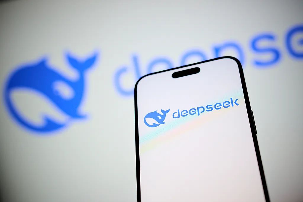 DeepSeek 资料图（视觉中国）