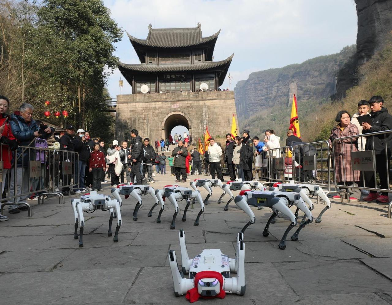 导管是什么意思梗