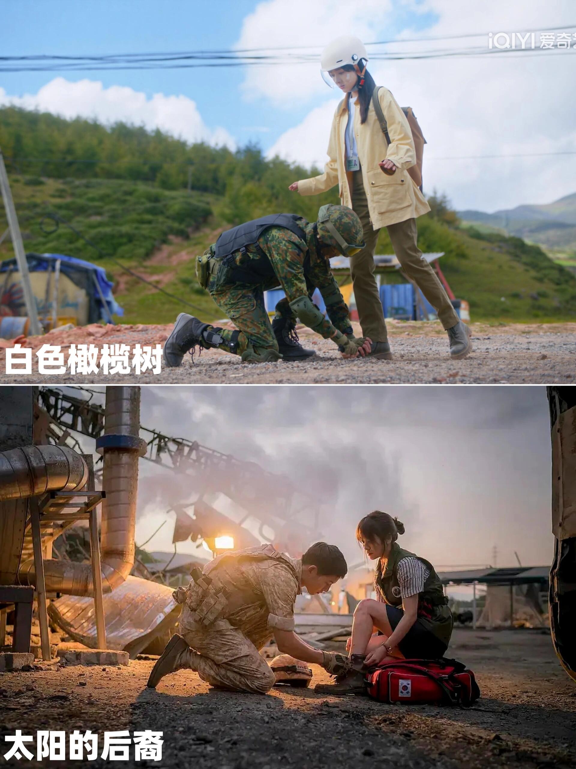 白色橄榄树VS太阳的后裔 内娱到底是差在哪儿呢？