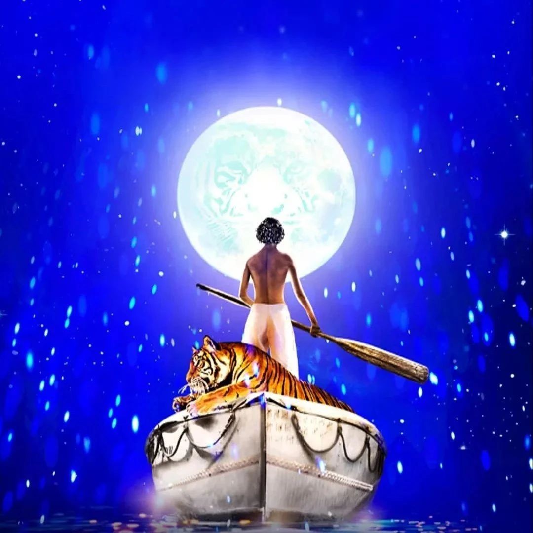 这大爆款，竟然来上海了