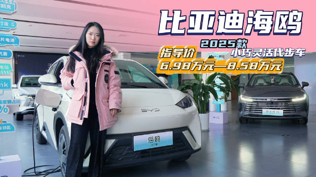 月销近5万台 售价6.98万起 比亚迪海鸥哪款配置最值得入手？