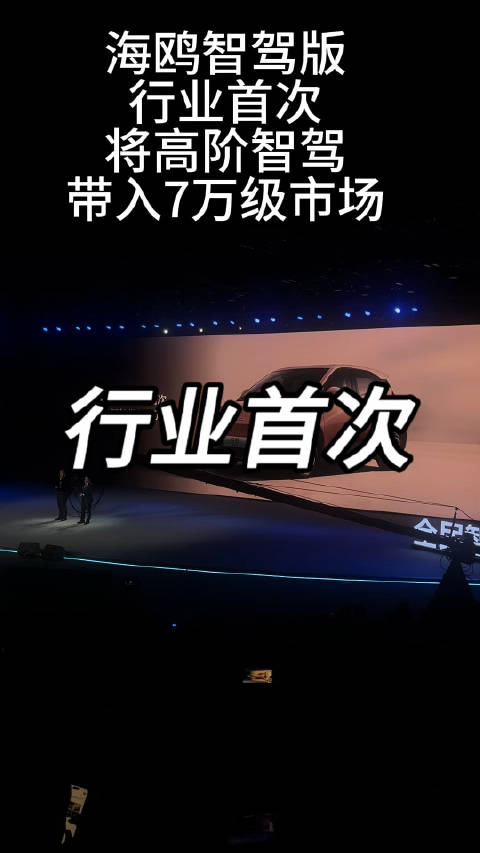 海鸥智驾版，行业首次将高阶智驾带入7万级市场