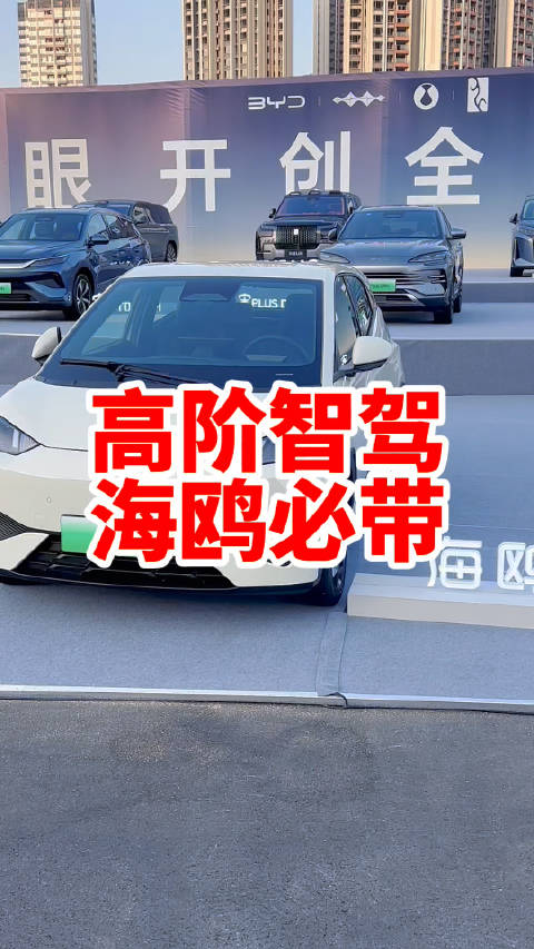 7万就能买的高阶智驾，比亚迪海鸥还有哨兵模式