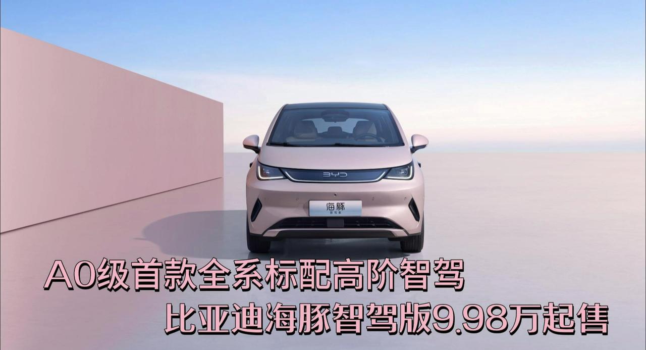 A0级首款全系标配高阶智驾 比亚迪海豚智驾版9.98万起售