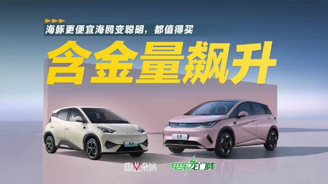 智驾上车，又聊比亚迪海鸥、海豚，买菜、代步家人们到底该怎么选呢？