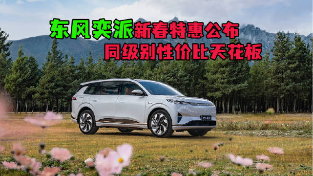 东风奕派eπ008