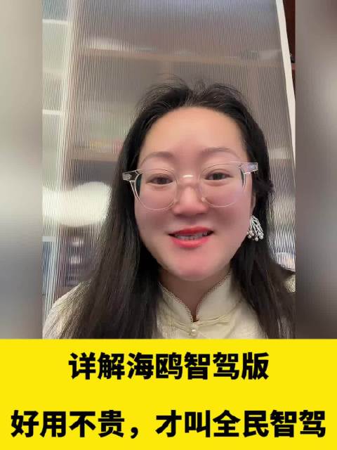 详解比亚迪海鸥智驾版，7.88万能买到什么智驾？
