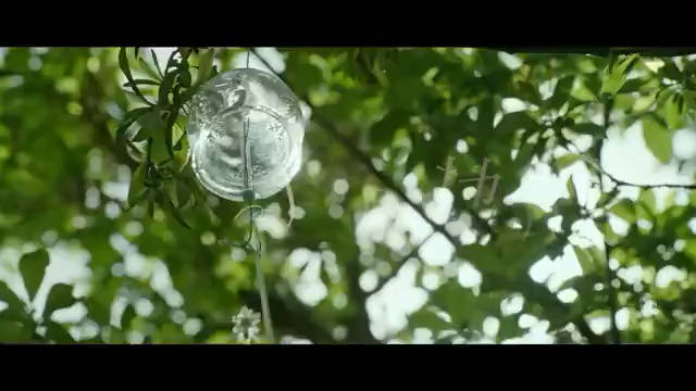 人类不能没有音乐，音乐声响起时总能抚平一切负面情绪，给快乐加浓…