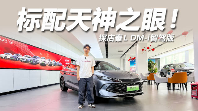 全系天神之眼，标配高阶智驾，起售价不到10万，谁还打得过它？