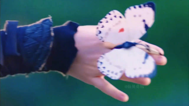 哇塞，知道黄杨钿甜是大花幼年体，童星时代演遍了大花的童年时期…