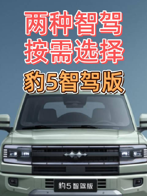 两款高阶智驾按需选择，方程豹豹5智驾版上市