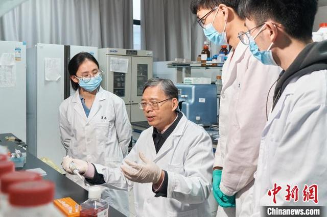 谢恬(中)带领团队开展浙八味温郁金与榄香烯研究。受访者 供图