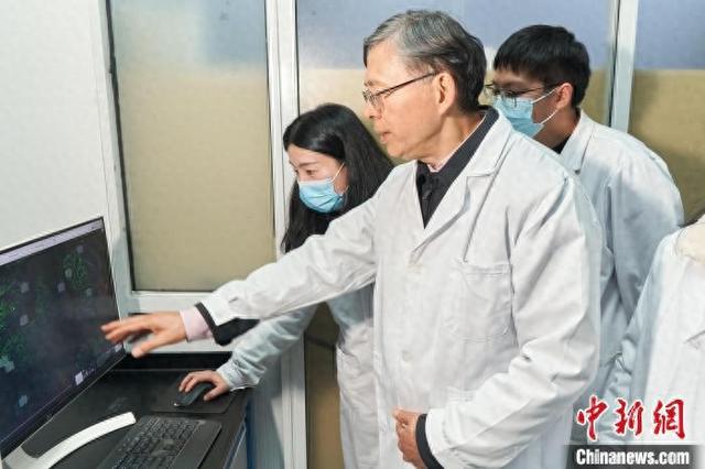 谢恬(中前)带领团队开展榄香烯分子配伍机制研究。受访者 供图