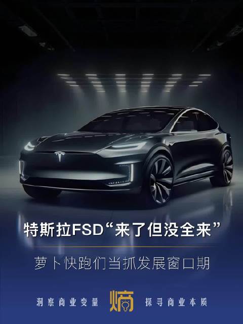 “缩水版”特斯拉FSD留下了发展窗口期，中国自动驾驶当兴！