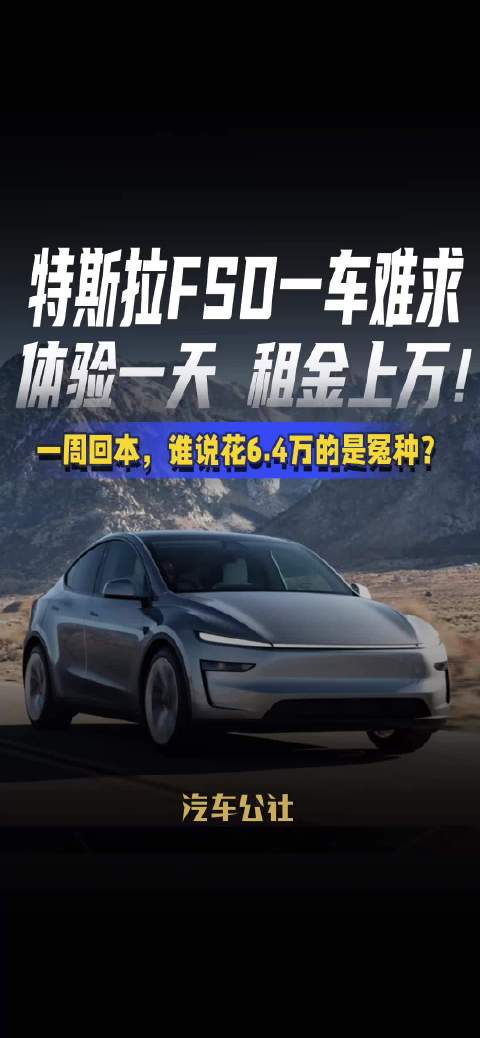特斯拉FSD一车难求 体验一天 租金上万！ 一周回本，谁说花6.4万的是冤种？