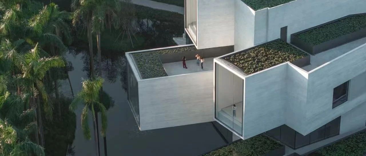 广东顺德，56岁大叔独居森林，和鸟生活了27年