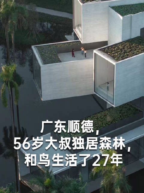 顺德鸟叔27年打造鹭鸟天堂