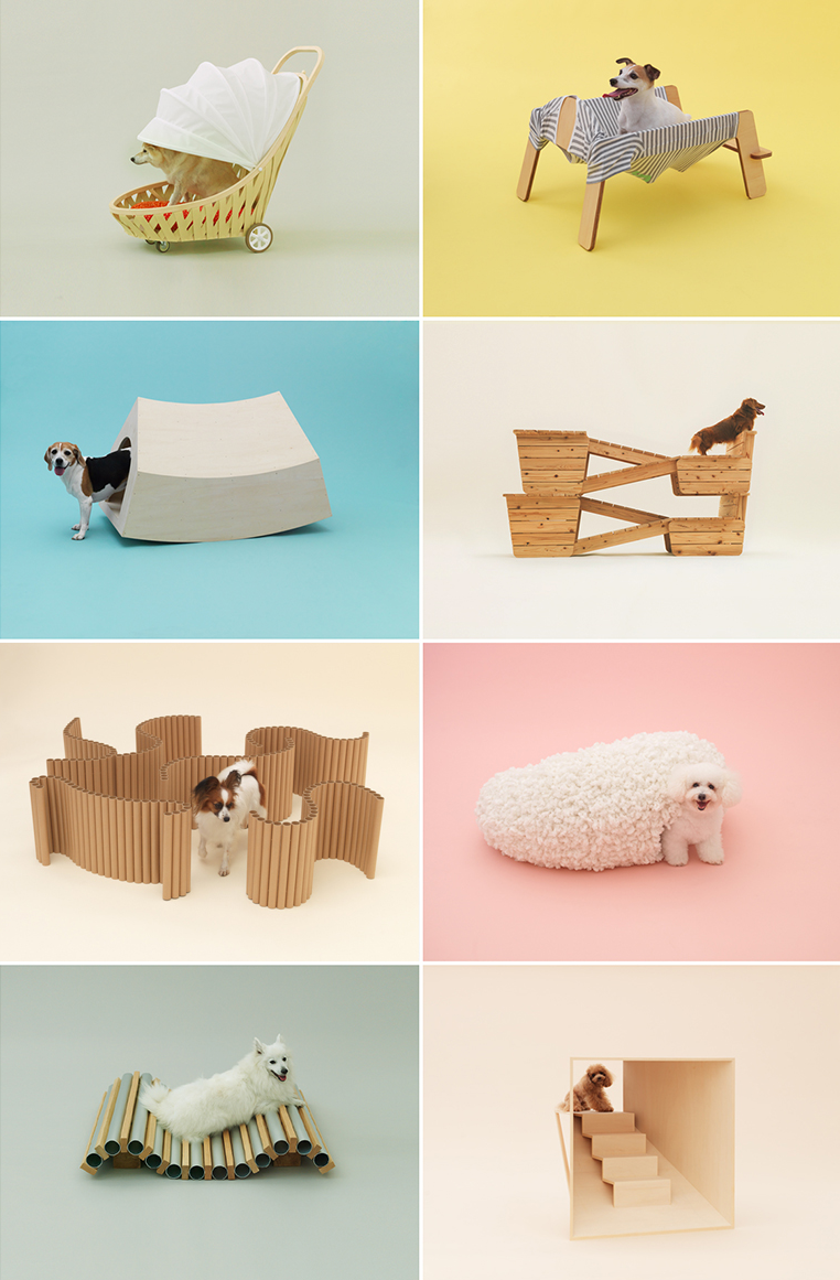 ●图源@Architecture for DOGS