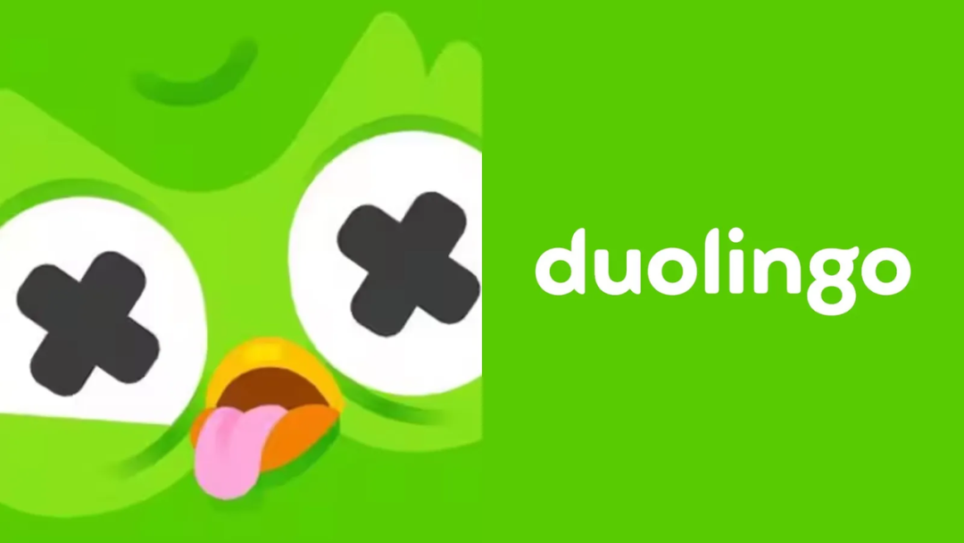 ● 图源@Duolingo
