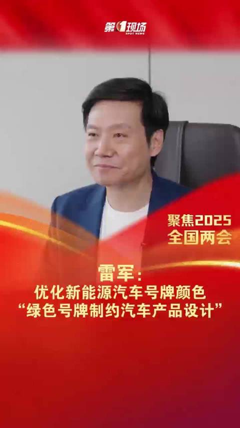 雷军建议优化新能源汽车号牌的设计