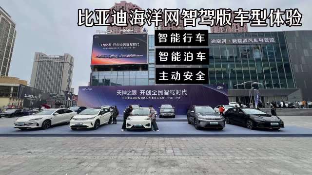 比亚迪海洋网发布高阶智能驾驶技术功能全面升级