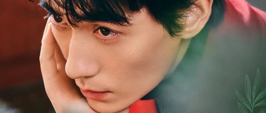 演员朱一龙，最新消息！