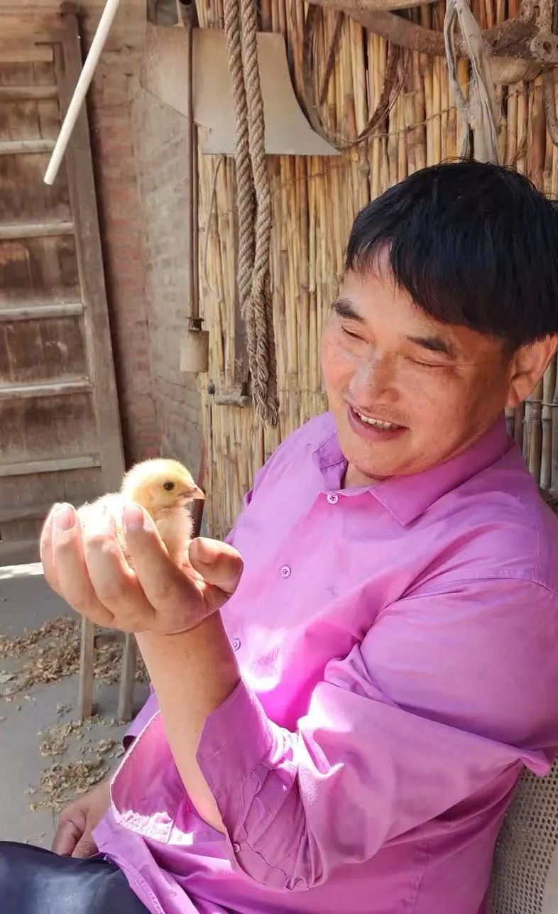 朱之文在家中照看出生不久的小鸡。受访者供图