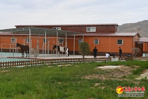 　　经开区（头屯河区）马家庄子村的马文化产业园一期马厩。 资料图片
