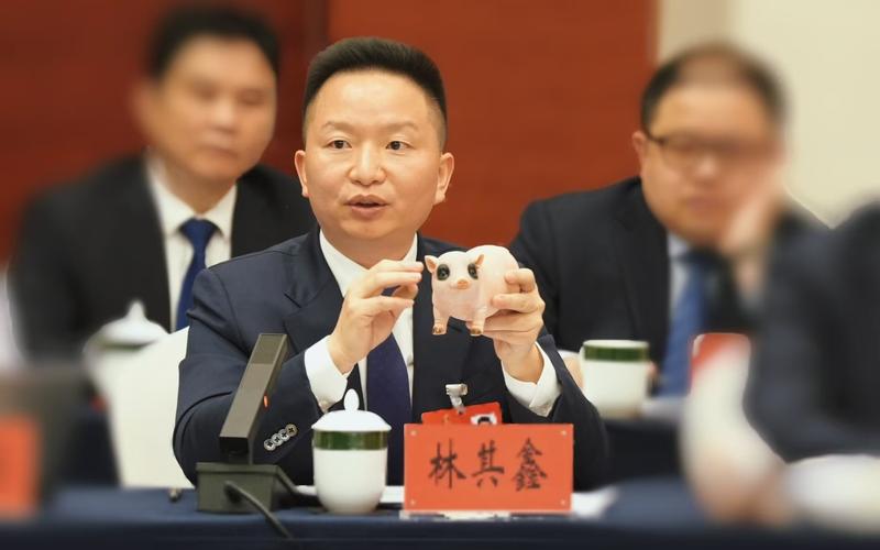 全国人大代表、重庆琪金食品集团有限公司董事长林其鑫。 受访者供图