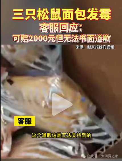 图片来源:新京报我们视频