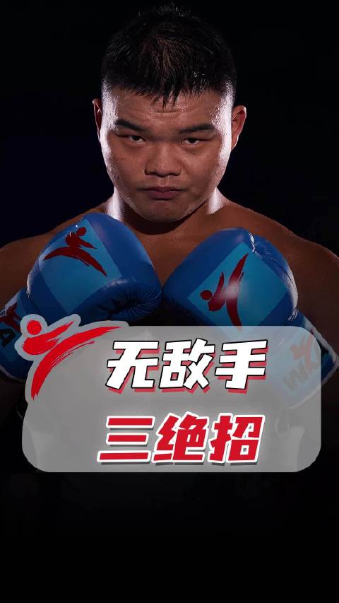 功夫熊猫三绝招，世界散打重量级无敌手！