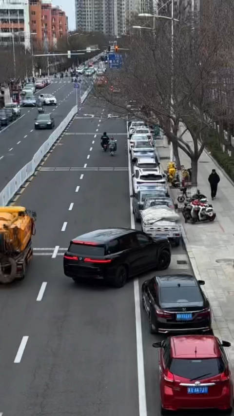 腾势N9的易三方泊车，这个显眼包被我抓住了