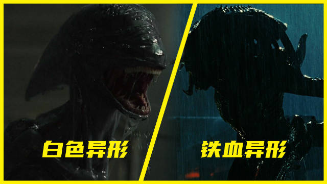 白色异形和铁血异形到底谁厉害？始祖VS狩猎，两大极致对决！