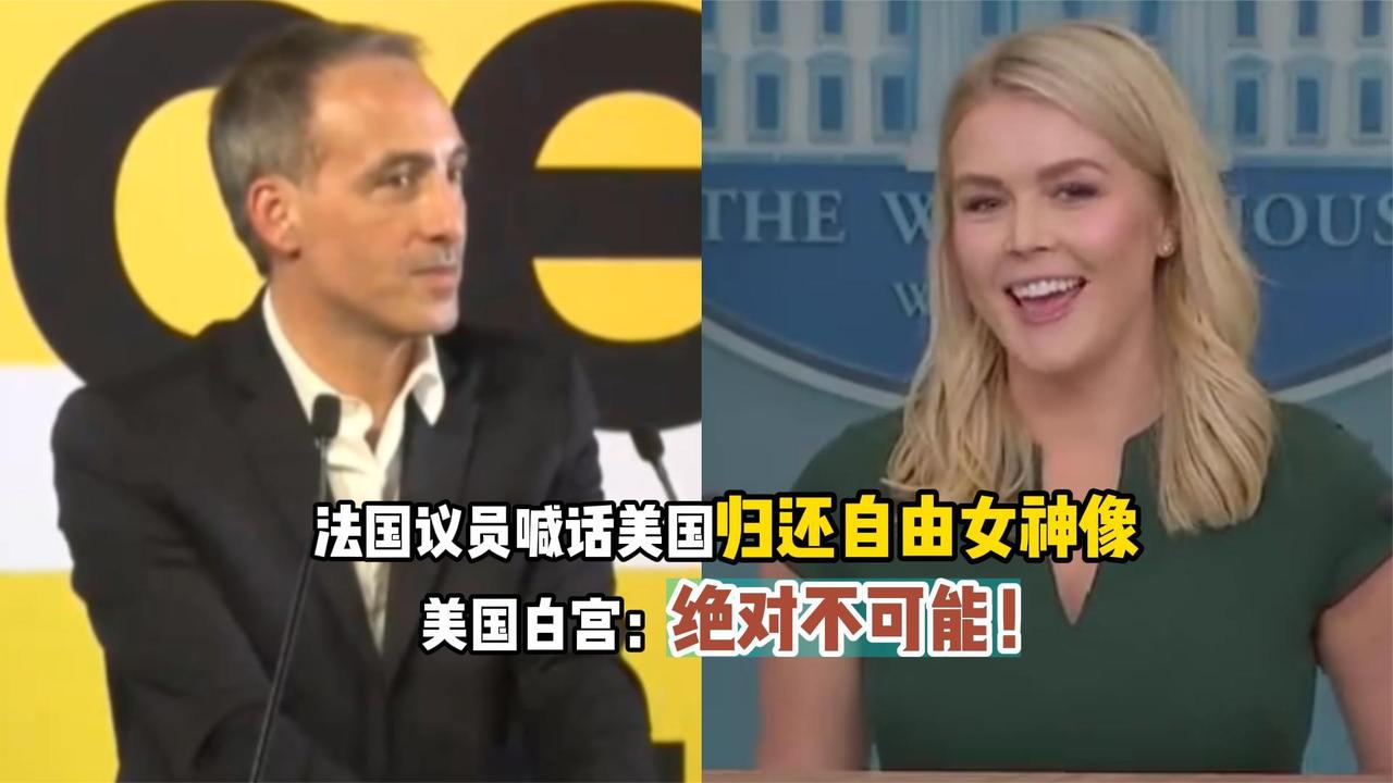 法政客想要回自由女神像