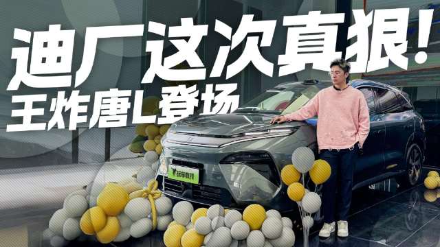 虽然这次没有拍到唐L EV，但相信唐L DM在消费端会更受关注…