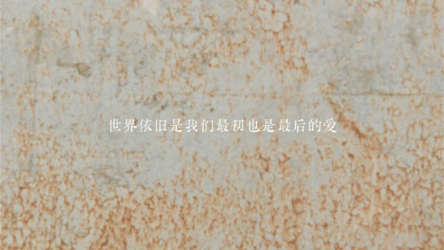 很多人因为电影《大象席地而坐》认识胡波…