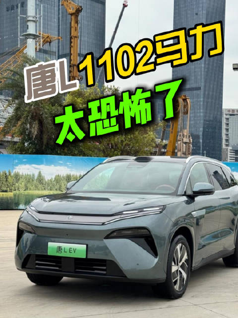 兄弟，能开明白么？这比亚迪可比超跑还快