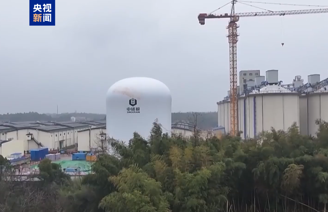 来源:央视新闻客户端