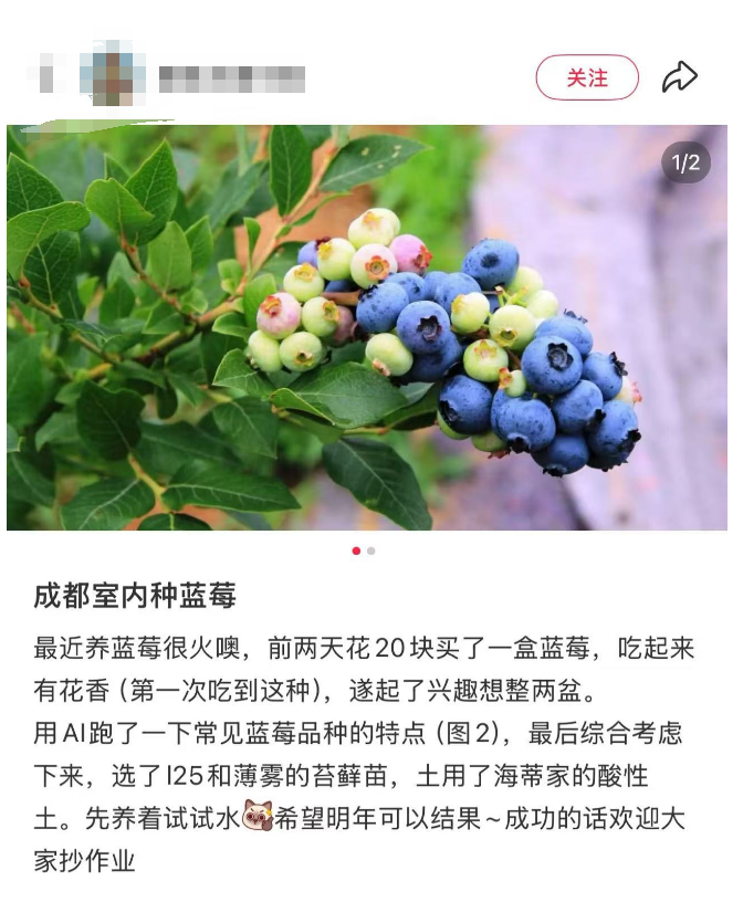 f421-7561a91edc8da2a546362f5f53236d88.png