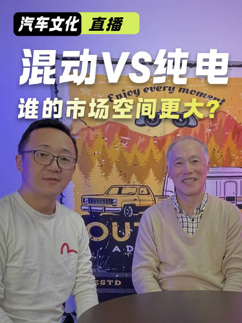 纯电和混动谁的市场空间更大？