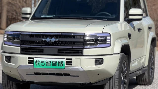 方程豹豹5智驾版上市一个月了，这款车型有两种智驾系统，在实际的智驾中…