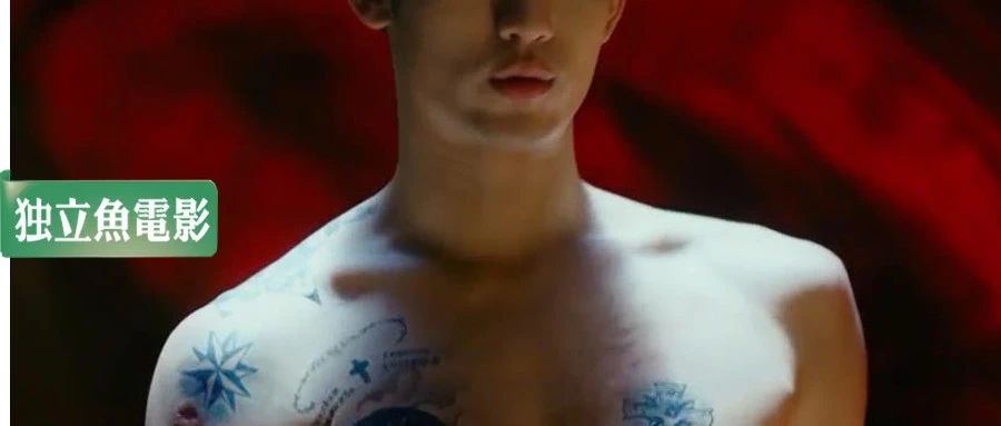 抱歉，今年的塌房还在继续