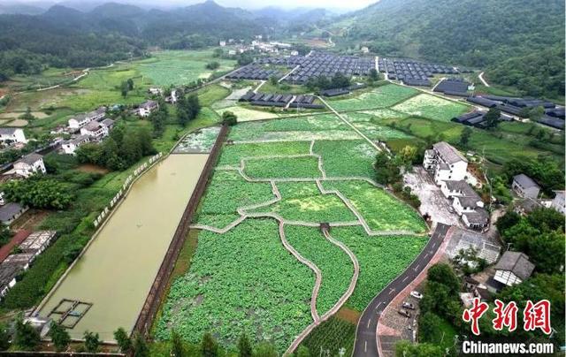 资料图:贵州省道真自治县隆兴镇浣溪村花园组产业场景。(遵义市民宗委供图)