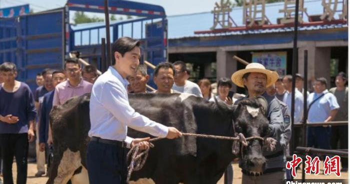 在县委大院，写一群普通人的故事