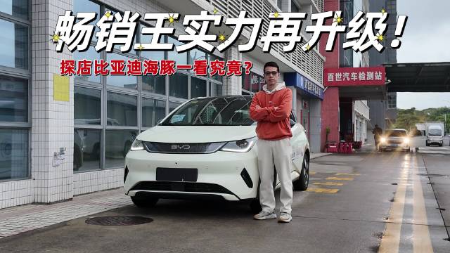 在家用代步车领域，比亚迪基本是各级别的老大
