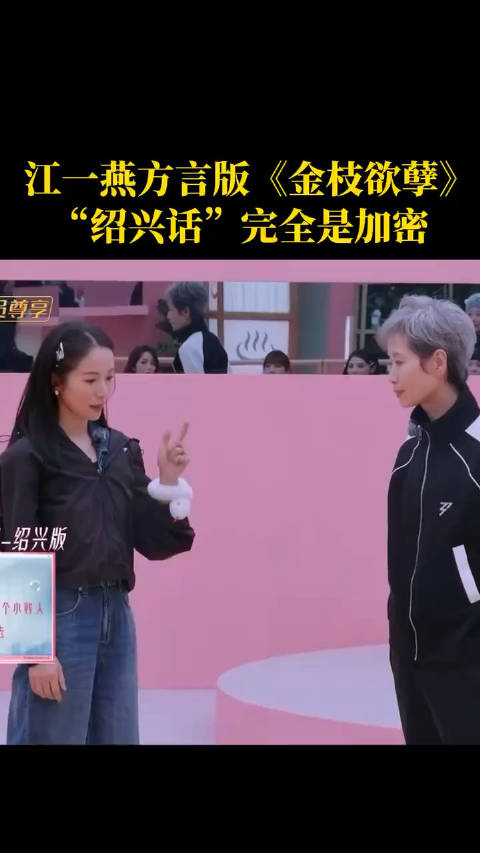 江一燕方言版《金枝欲孽》 “绍兴话”完全是加密！浪姐第一季全是真的姐