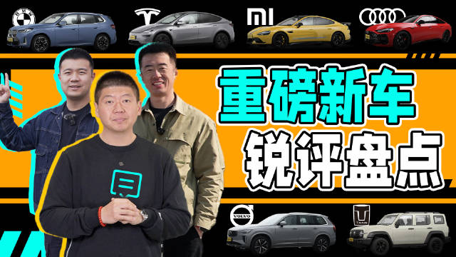 作为车主/体验者…