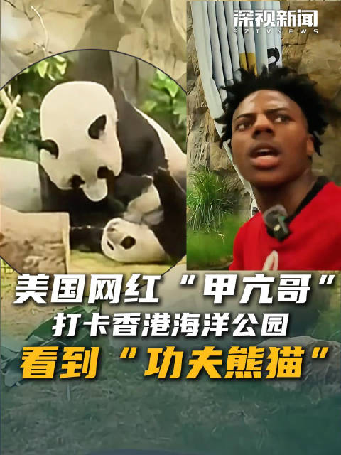 美国网红“甲亢哥”打卡香港海洋公园 看到“功夫熊猫”